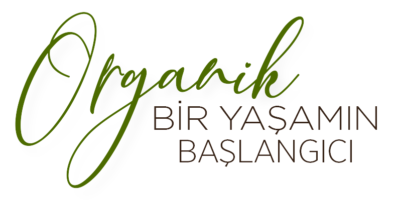 Organik Yaşamın Başlangıcı